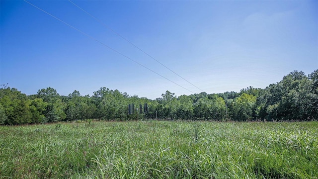 view of local wilderness