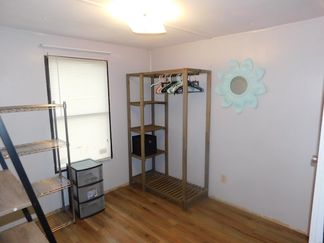 bedroom with multiple windows and dark hardwood / wood-style flooring