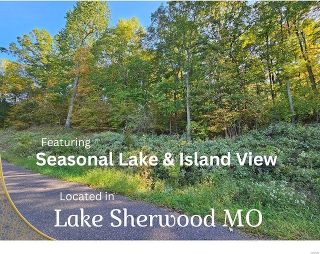 1541 King Arthur Dr, Lake Sherwood MO, 63357 land for sale