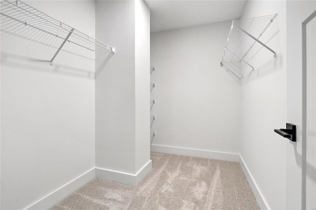 spacious closet with light colored carpet