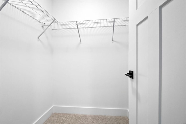 spacious closet with carpet flooring