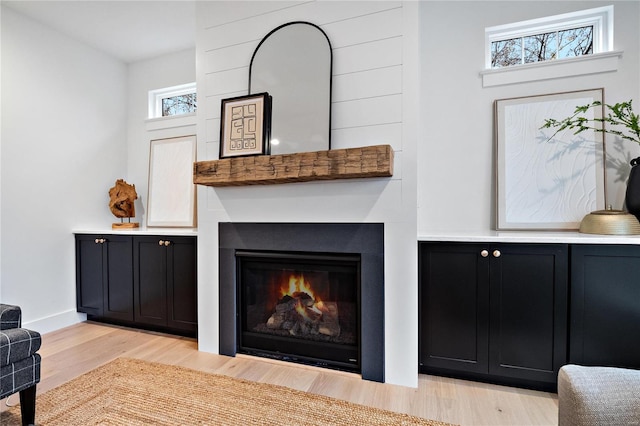 room details featuring light hardwood / wood-style flooring