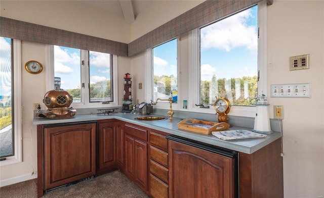 kitchen with sink and dark carpet