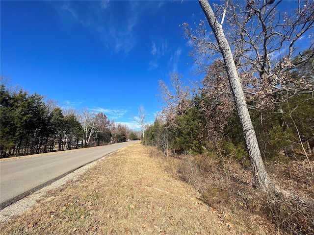 Listing photo 2 for 0 Rue Riviera, Bonne Terre MO 63628