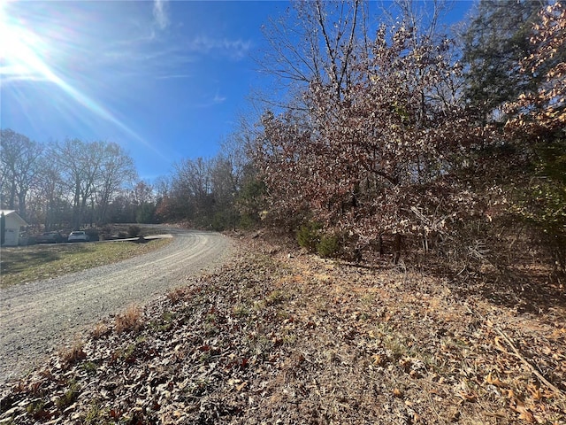 Listing photo 3 for 0 Rue Cheryl, Bonne Terre MO 63628