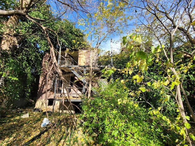 view of local wilderness