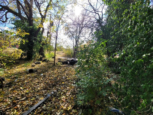 view of local wilderness