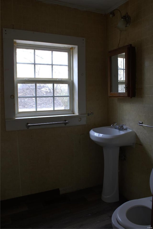 bathroom with toilet and tile walls