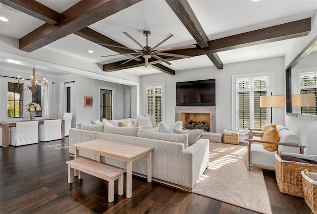 living room featuring beamed ceiling, coffered ceiling, a high end fireplace, ceiling fan with notable chandelier, and dark hardwood / wood-style floors