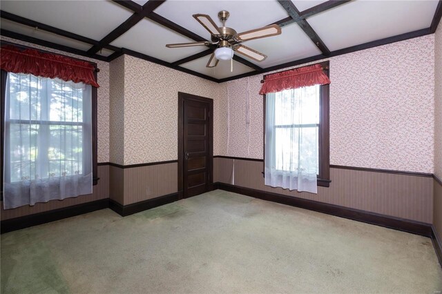 carpeted empty room featuring coffered ceiling, beam ceiling, and plenty of natural light