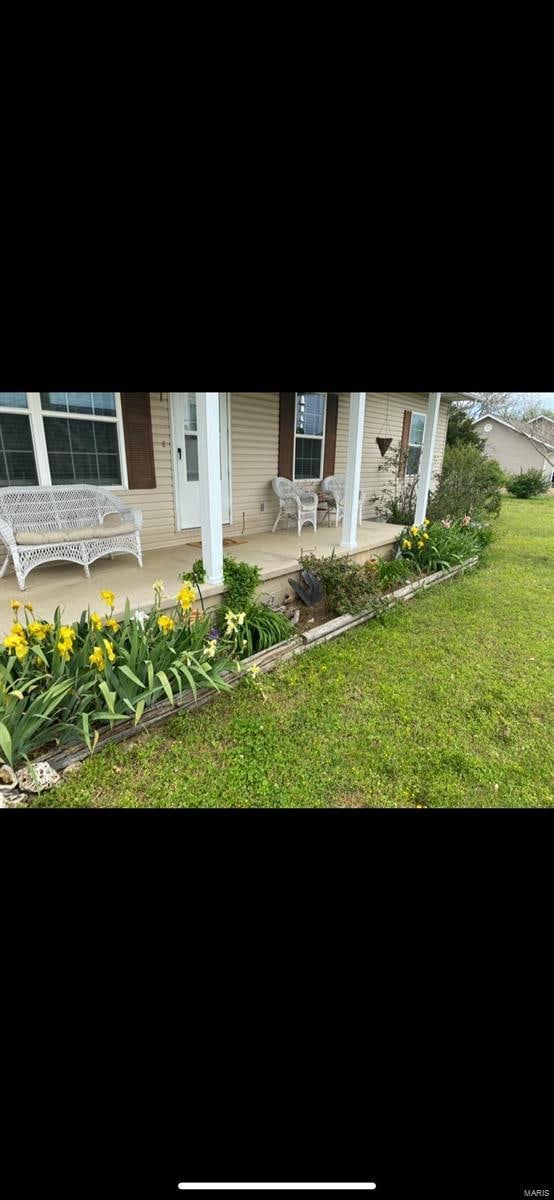 back of property featuring covered porch and a yard