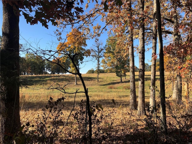 view of nature featuring a rural view