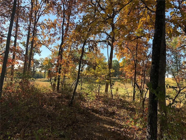 view of local wilderness