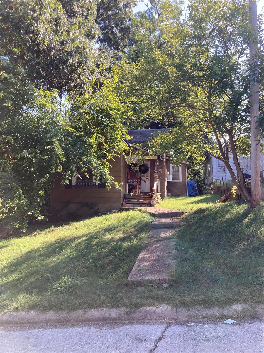 view of property hidden behind natural elements with a front lawn