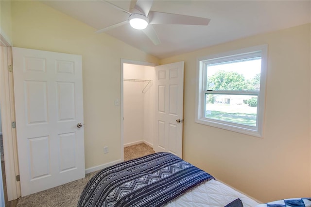 carpeted bedroom featuring ceiling fan, a closet, and lofted ceiling