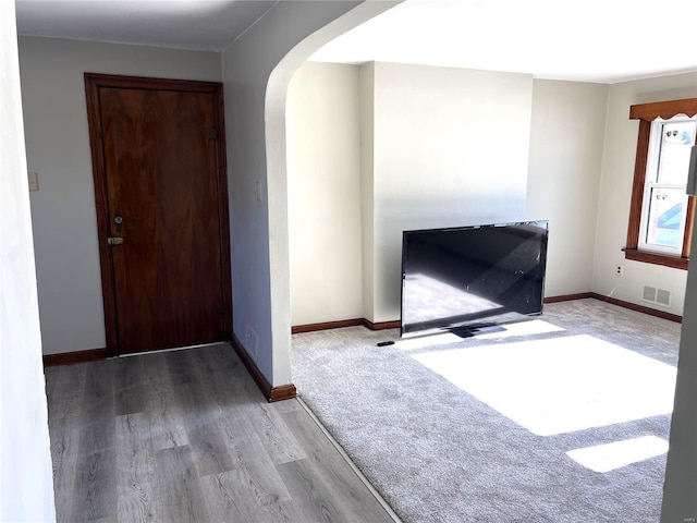 entryway featuring wood-type flooring