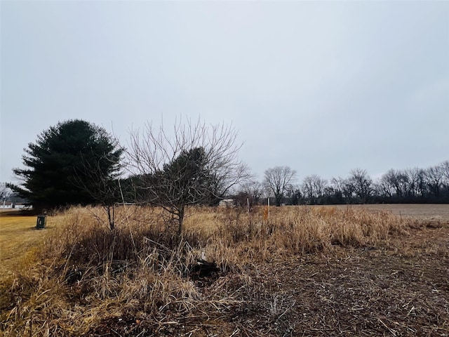 view of local wilderness with a rural view