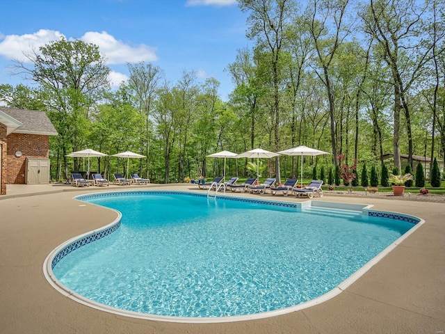 view of swimming pool featuring a patio