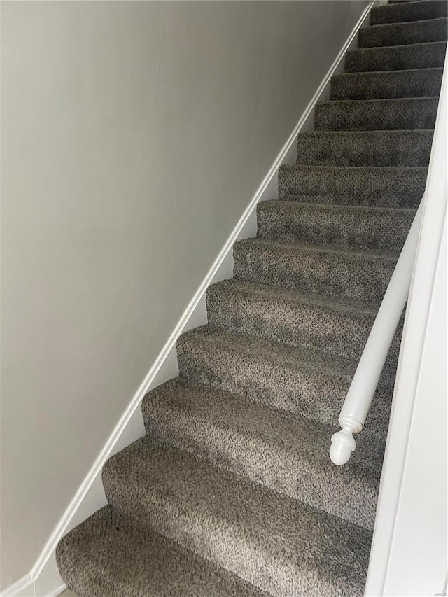 stairway featuring carpet