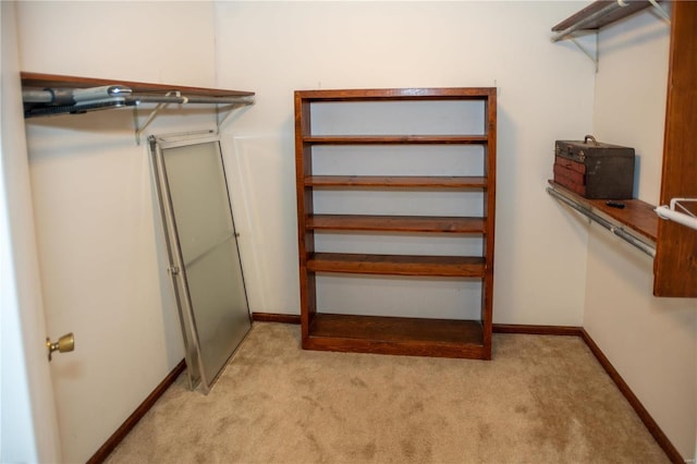 walk in closet with light colored carpet