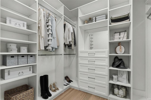 spacious closet featuring light wood-type flooring