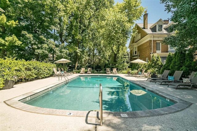 view of pool with a patio area