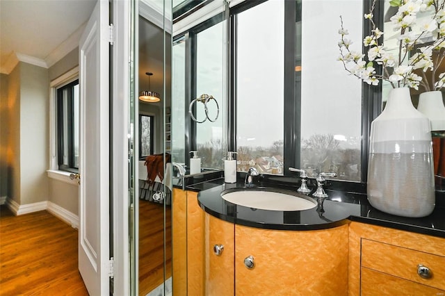 bathroom with crown molding, vanity, and hardwood / wood-style flooring