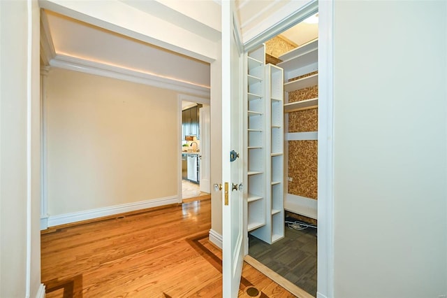 closet with sink