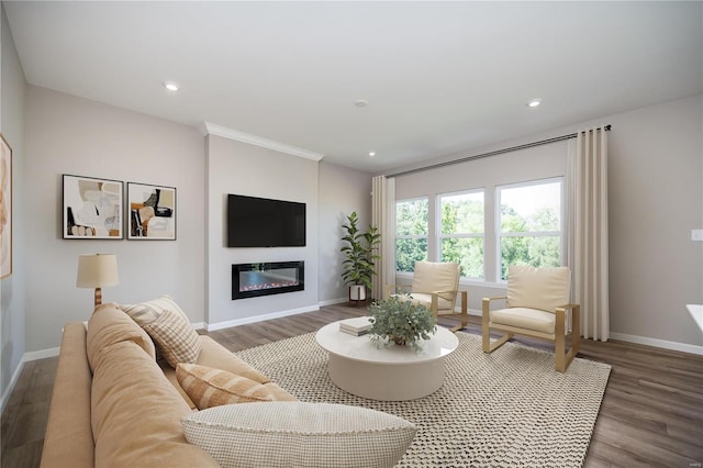 living area featuring a glass covered fireplace, recessed lighting, wood finished floors, and baseboards