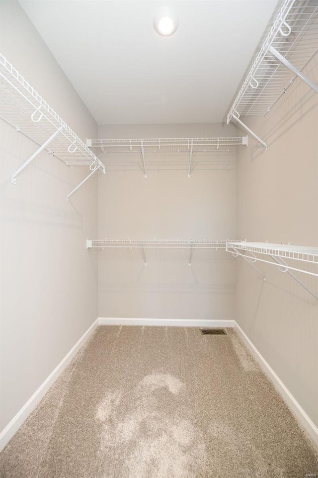 spacious closet featuring carpet flooring and visible vents