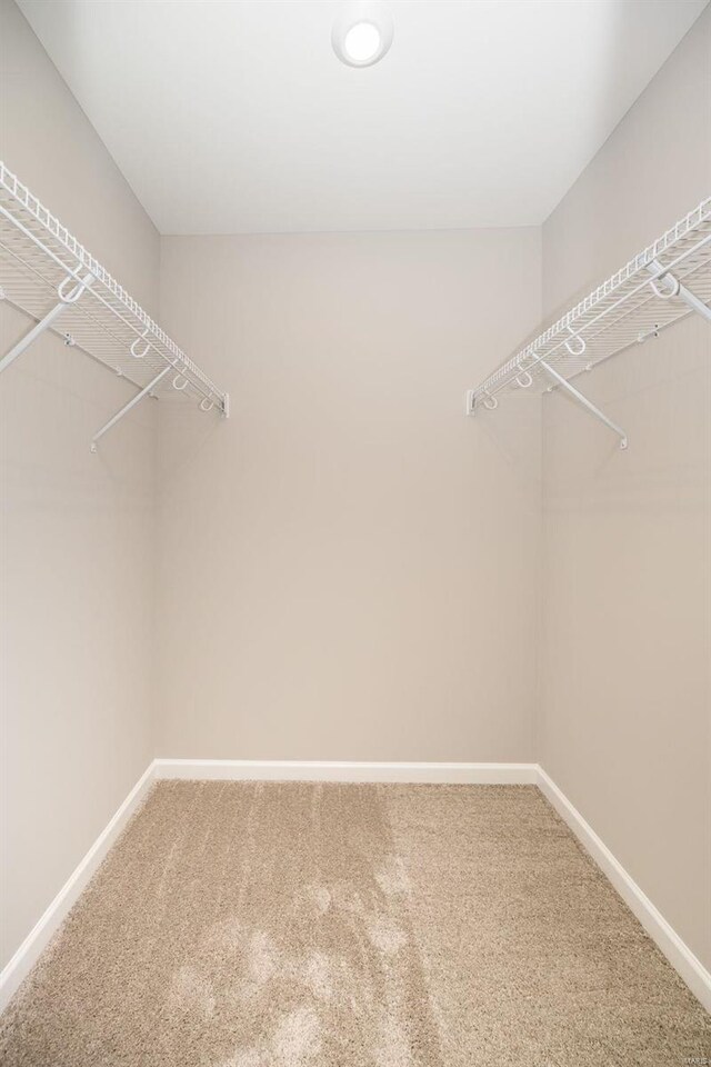 walk in closet featuring carpet