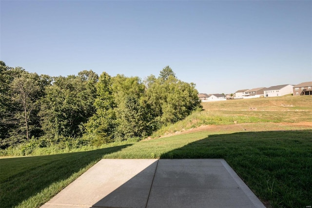 view of yard featuring a patio area