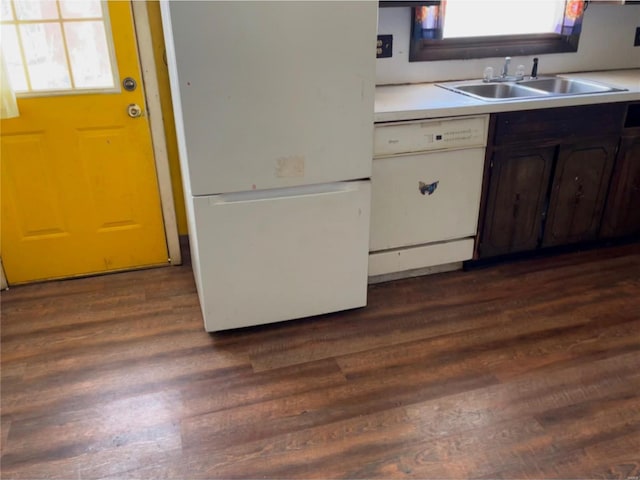 kitchen featuring sink, white appliances, dark wood-type flooring, and dark brown cabinets