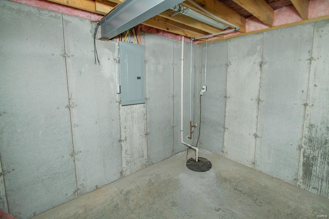 basement with electric panel