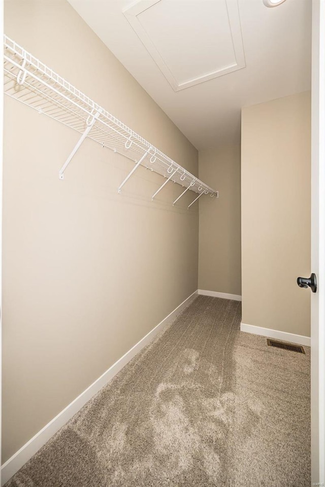 spacious closet featuring carpet floors, attic access, and visible vents