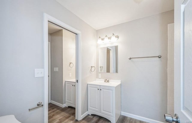 bathroom with large vanity and hardwood / wood-style flooring