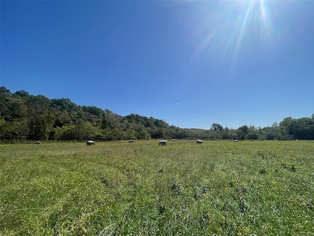 view of nature with a rural view