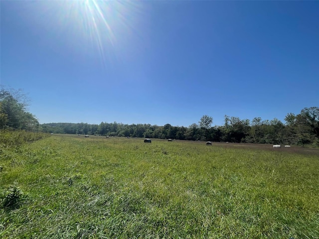 view of landscape with a rural view