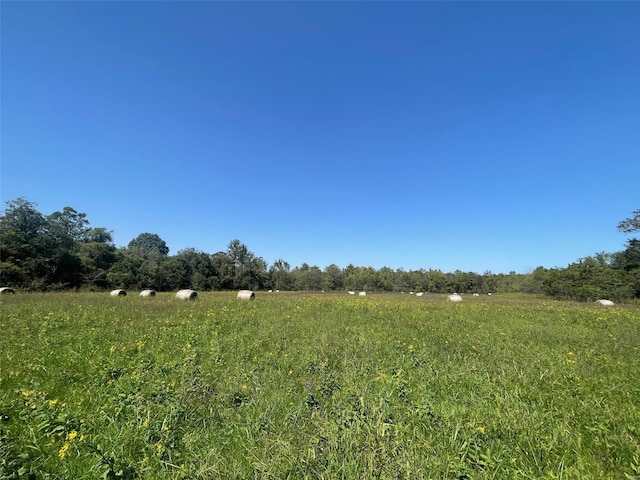 view of nature featuring a rural view