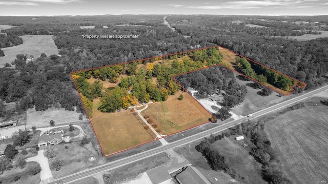 aerial view with a forest view