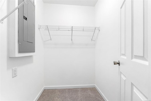 spacious closet with carpet flooring and electric panel