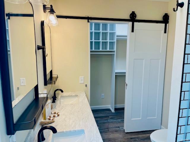 bathroom featuring toilet, double vanity, and hardwood / wood-style floors