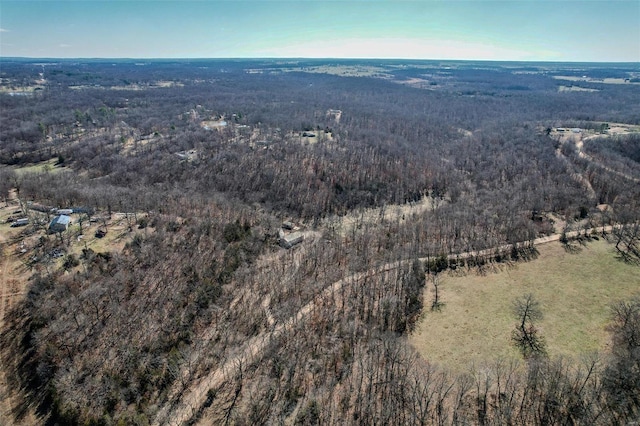 view of bird's eye view