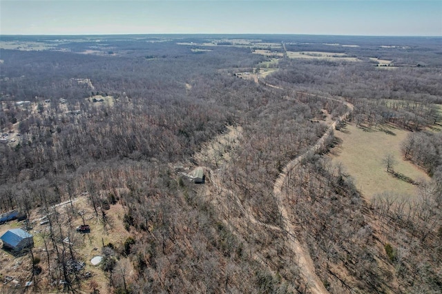 view of bird's eye view