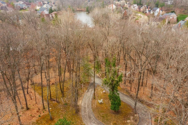 view of bird's eye view