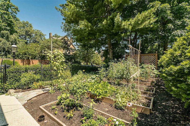 view of yard with fence and a garden