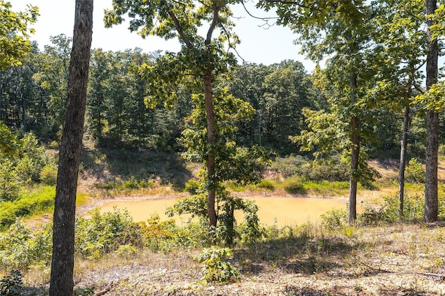 view of landscape