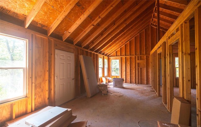 misc room featuring lofted ceiling and a healthy amount of sunlight