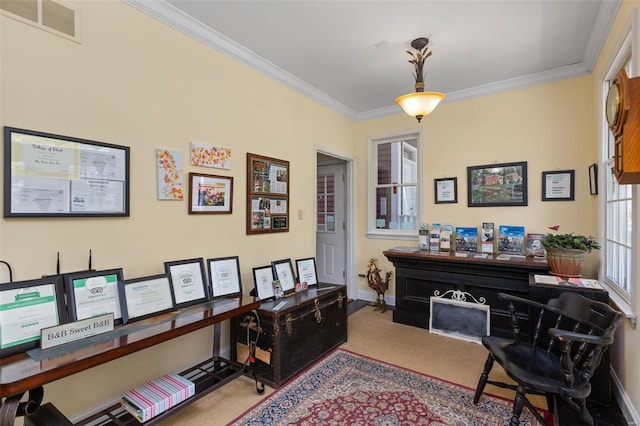 interior space featuring ornamental molding and carpet floors