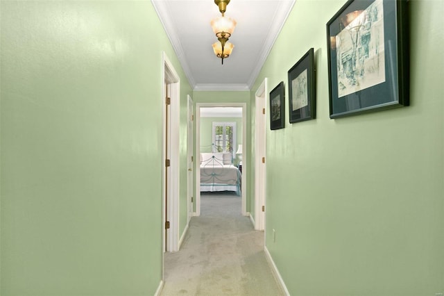 hall with ornamental molding and carpet